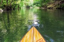Stand-Up Paddle & Snorkeling with Local Guide near Nice