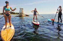 Stand-Up Paddle & Snorkeling with Local Guide near Nice