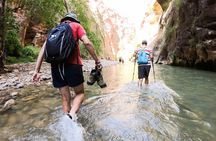 Private Zion Canyon National Park Day Tour from Las Vegas
