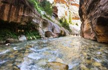 Private Zion Canyon National Park Day Tour from Las Vegas