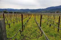 Sparkling Wine Tour - Napa Valley