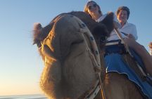 Broome Pre-sunset Camel Tour 30 minutes