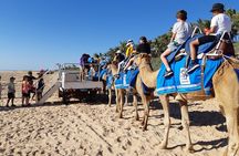 Broome Pre-sunset Camel Tour 30 minutes
