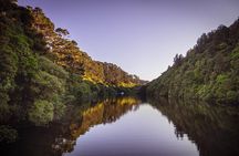 Zealandia - Twilight Guided Eco Wildlife Tour