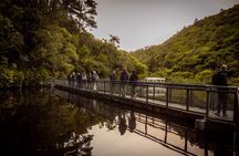 Zealandia - Twilight Guided Eco Wildlife Tour