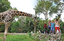 Malacca Zoo, Malaysia Heritage Studio & Crocodile Farm with Lunch
