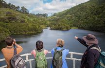 Zealandia by Day: Small group native forest and wildlife tour