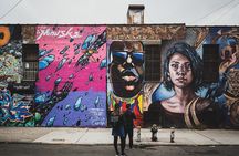 Street Art Tour in New York City with Local Expert Guide