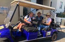 Private Guided Golf Cart Tour of Avalon