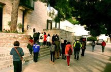 DELPHI Private Day Tour PLUS Hiking, BIking or Olive Tasting 