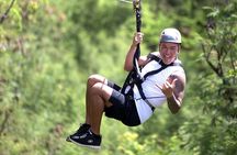 1-Hour 3 Zipline Tour at Coral Crater