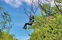 1-Hour 3 Zipline Tour at Coral Crater