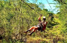 1-Hour 3 Zipline Tour at Coral Crater