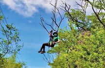6 Zipline Adventure at Coral Crater (Optional Waikiki Shuttle)