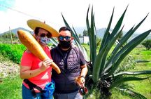 Tour de Pulque en Tepotzotlán, Pueblo Mágico