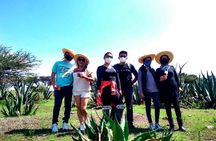 Tour de Pulque en Tepotzotlán, Pueblo Mágico