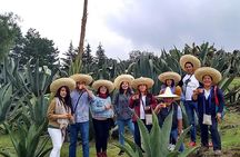 Tour de Pulque en Tepotzotlán, Pueblo Mágico