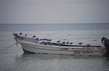 Isla Holbox