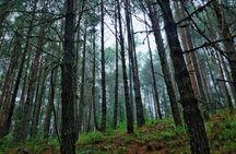 Mountain Biking la Cumbre Ixtepeji trails