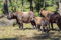 6-Day Classic Bhutan Tour to Paro, Thimphu and Punakha