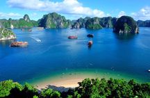 Stellar of the Seas Cruise Halong Bay 2Days 1Night on 5 Star Cruise