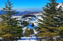 Sightseeing all-inclusive Private Tour to Qadisha Valley, Bcharre and Cedars