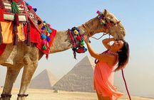 3 Hours Tour to Giza Pyramids & Sphinx with a camel - Private tour