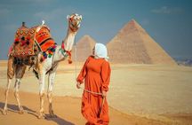 Sunrise or Sunset Horse carriage Ride at Pyramids Desert