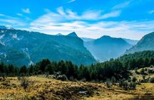 Sightseeing all-inclusive Private Tour to Qadisha Valley, Bcharre and Cedars