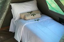 4 Days Okavango Delta Experience