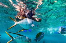 Arch Views & Snorkeling Paradise at Chileno Beach