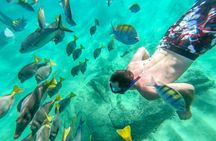 Arch Views & Snorkeling Paradise at Chileno Beach