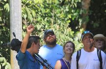 Manuel Antonio National Park guided tour