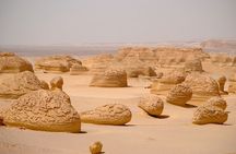 Day Tour to El Fayoum from Cairo 