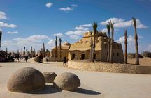 Private Fayoum, Wadi El Hitan & Wadi El Rayan Safari from Cairo