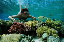 Hamata Island snorkeling tour from Marsa Alam 