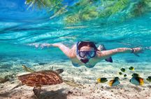 Hamata Island snorkeling tour from Marsa Alam 