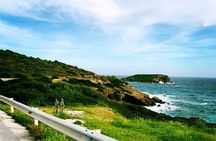 Sounion Highlights: Vouliagmeni, Olive Farm, Poseidon Temple, Thorikos Theatre 