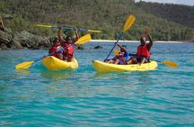 Best of St. John: Kayak, Snorkel & Picnic to Honeymoon Beach