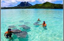 Private Bora Bora Lagoon & Water Lunch Experience