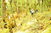 Mt Aspiring Full Day Canyon ex Queenstown or Wanaka