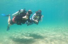 Beginner Scuba Diving Guided Tour - No Experience Required