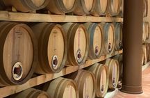 Private Winery Visit and tasting of Gagliole Wines