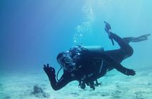 Double Shore Dive (certified divers)