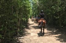 Horseback Riding plus ATV, Cenote, Ziplines, and Lunch