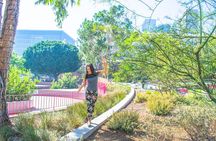 Hollywood, Celebrity Homes, Film Locations and Sunset Strip Tour in Los Angeles