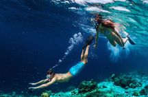 Capri Island Small Group Boat Tour from Naples