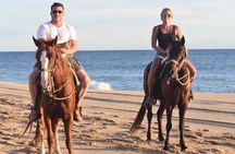 Combo Double Atv + Horses