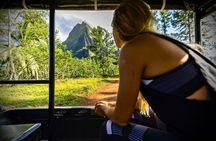 Enjoy Moorea Private day tour