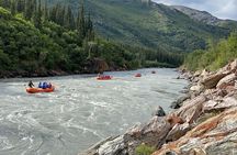 Denali Rafting Wilderness Wave 